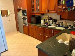 Lorong G Telok Kurau (D15), Semi-Detached #458377471